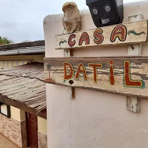 Palmera Y Datil Haría